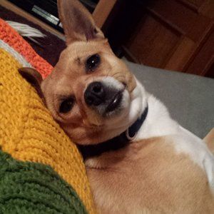 Meet your Posher, Marcy